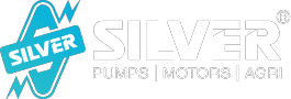 silverpumps